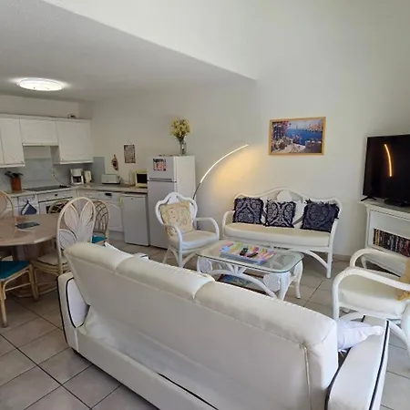 Climatisé 5 Pièces Avec Terrasse Et Parking En Centre-ville De - Fr-1-780-30 Apartamento
