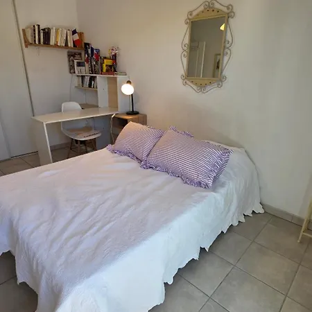 Apartamento Climatisé 5 Pièces Avec Terrasse Et Parking En Centre-ville De - Fr-1-780-30